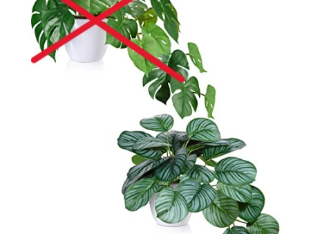 (Falta 1 planta, incluye 1) SOGUYI Plantas Artificiales de 50cm - Monstera Tropical de Gran Realismo para Decoración Moderna Embalaje Deteriorado Online Hot Sale